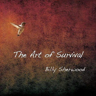 Abbildung von The Art of Survival