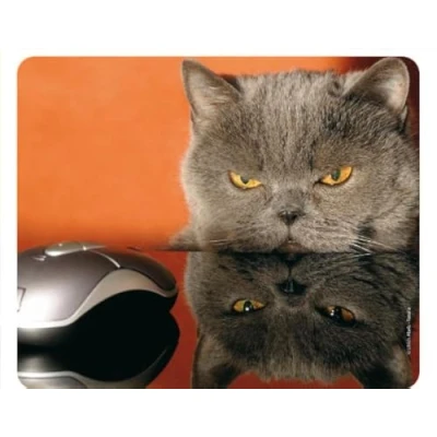 Abbildung von Katze UND Maus (Grumpy CAT) Lustiges Mauspad/Mousepad aus extrem reissfestem Spezialkautschuk mit stark haftender Unterseite kompatibel für alle Maustypen (Motiv 51)