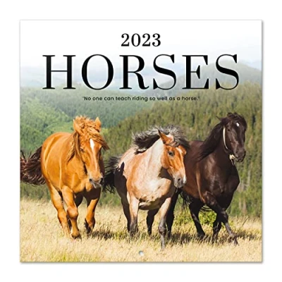Abbildung von Grupo Erik Wandkalender 2022 2023, Pferde 2023 Wandkalender, Kalender zum Aufhängen von September bis Dezember offizielle Lizenz, FSC zertifiziert, CP23003