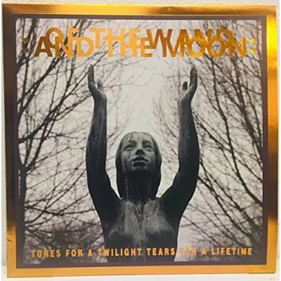 Abbildung von Tunes for a Twilight Tears Lifetime [Vinyl LP]
