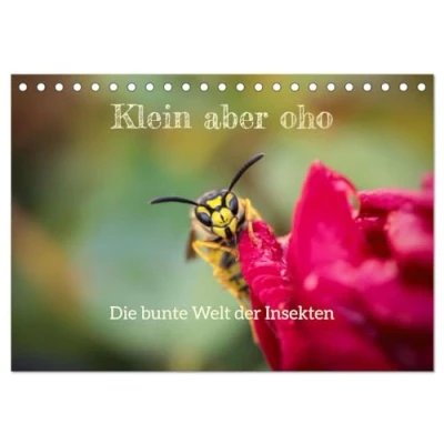 Abbildung von Klein aber oho. Die bunte Welt der Insekten (Tischkalender 2025 DIN A5 quer), CALVENDO Monatskalender