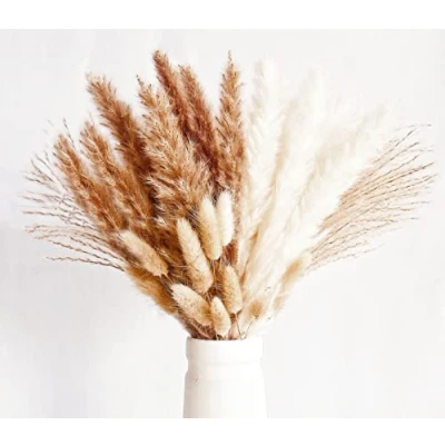 Abbildung von 70 Stück Pampas Grass Deko, Kleine natürliche getrocknete Blumensträuße aus Grass, Boho Deko für Wohnzimmer, Tisch, Schlafzimmer, Hochzeiten und Badezimmer.