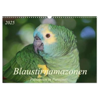 Abbildung von Blaustirnamazonen Papageien in Paraguay (Wandkalender 2025 DIN A3 quer), CALVENDO Monatskalender