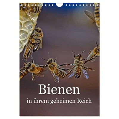 Abbildung von Bienen in ihrem geheimen Reich (Wandkalender 2025 DIN A4 hoch), CALVENDO Monatskalender