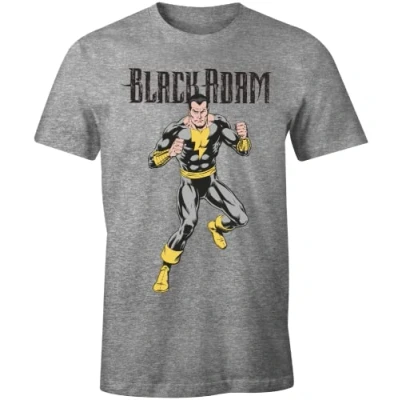 Abbildung von dc comics Herren Mebladots003 T Shirt, grau meliert, XXL