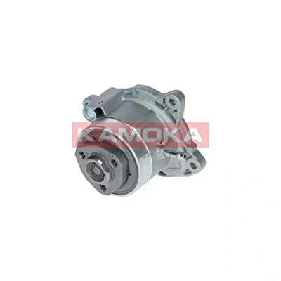 Abbildung von Wasserpumpe KAMOKA T0019