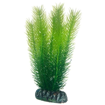 Abbildung von Hobby Aquariendeko Mayaca Fluss Mooskraut künstl. Pflanze 16 cm