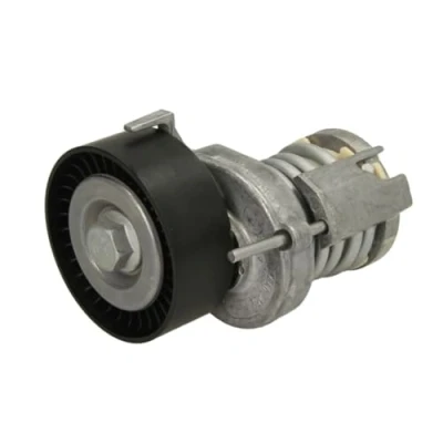 Abbildung von SKF VKM 31015 Spannrolle VOLKSWAGEN: Polo IV Schrägheck, III Lupo / 3L, SEAT: Ibiza 4 Sportcoupe