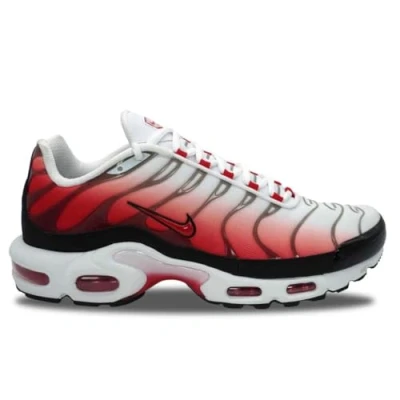 Abbildung von Nike Air Max Plus TN Gym Red