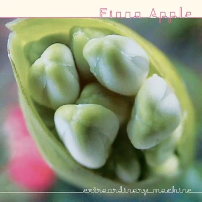 Abbildung von Fiona Apple Extraordinary Machine (2 LP)