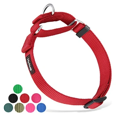 Abbildung von Hyhug Martingal Hundehalsband mit Schnalle: Ausbruchsicher, rutschfestes Robustes Polyester, farbechtes verstellbares Haustierzubehör für große Hunderassen (Groß, Dunkelrot)