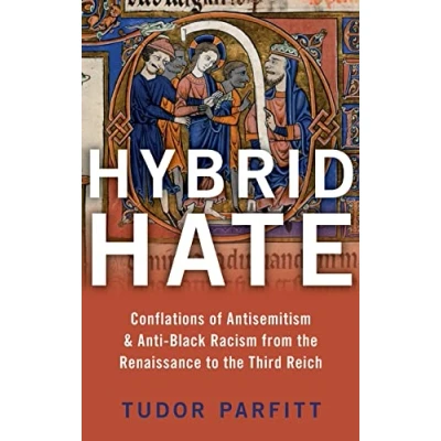 Abbildung von Hybrid Hate: Jews, Blacks, and the Question of Race