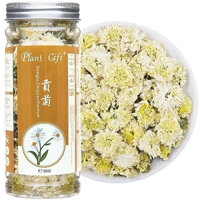 Abbildung von Plant Gift 30g/1oz 贡菊 菊花茶 Gongju Chrysanthemene Tee, Gesundheitskräuter, Chrysanthemen Blume getrockneter Kräuterchinesischer chinesischer Tee