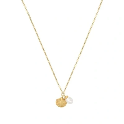 Abbildung von NOELANI Kette mit Anhänger 925 Sterling Silber Damen Halsschmuck, Süßwasserzuchtperle, 40+5 cm, Gold, Muschel, Kommt in Schmuck Geschenk Box, 2031725