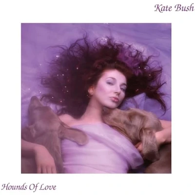 Abbildung von Hounds Of Love 2018 Remaster [CASSETTE] [Musikkassette]