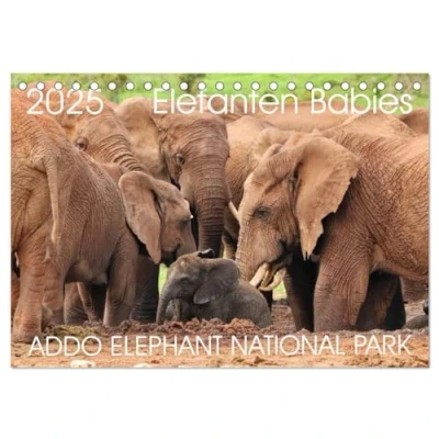 Abbildung von ADDO ELEPHANT NATIONAL PARK Elefanten Babies (Tischkalender 2025 DIN A5 quer), CALVENDO Monatskalender