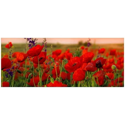 Abbildung von Wallario Glasbild Mohnblumen auf dem Feld 50 x 125 cm Wandbilder Glas in Premium Qualität: Brillante Farben, freischwebende Optik
