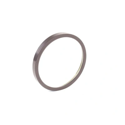 Abbildung von RIDEX 2254S0025 ABS Ring Hinterachse beidseitig PEUGEOT: 5008 I, 307 SW, 308 I Schrägheck, CITROËN: Berlingo II, DS3 C3 Picasso