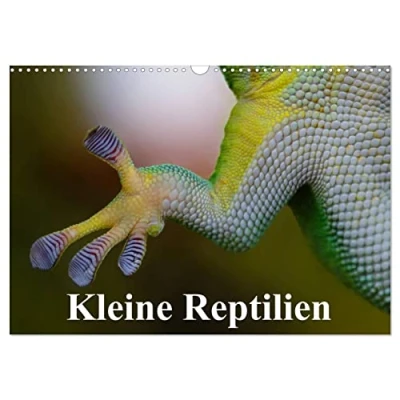 Abbildung von Kleine Reptilien (Wandkalender 2025 DIN A3 quer), CALVENDO Monatskalender