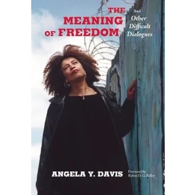 Abbildung von Meaning of Freedom: And Other Difficult Dialogues (City Lights Open Media)