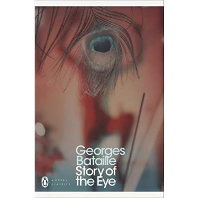 Abbildung von Story of the Eye (Penguin Modern Classics)