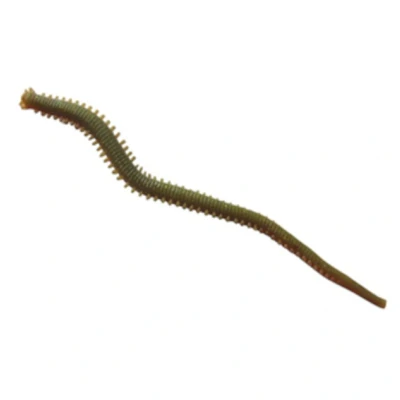 Abbildung von Berkley Gulp! Alive Saltwater Sandworm Camo Köderimitat