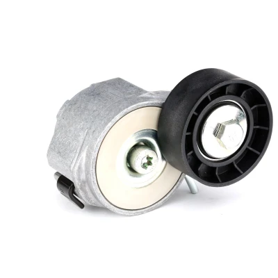 Abbildung von SKF VKM 32046 Spannrolle mit Befestigungsmaterial OPEL: Vectra C Caravan, Zafira B, Limousine, FIAT: Ducato III Bus, Freemont kfzteile,