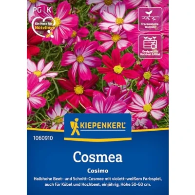 Abbildung von Kiepenkerl Cosmossamen Cosimo 1060910 Charmantes violett weißes Farbspiel im Garten, zieht Bienen &amp; Schmetterlinge an Wildblumensamen, Blumenwiese