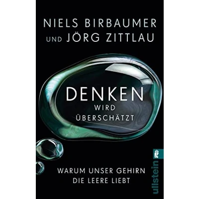 Abbildung von Denken wird überschätzt: Warum unser Gehirn die Leere liebt