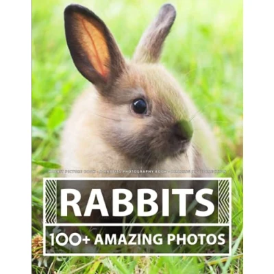Abbildung von Rabbit Picture book A Rabbits Photography Amazing Big Collection: 100+ Pictures of in this Beautiful photo