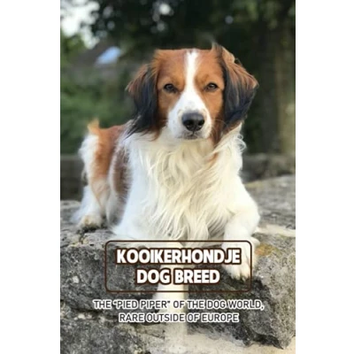 Abbildung von Kooikerhondje Dog Breed: The “Pied Piper of World, Rare Outside Europe: Breed Information, Characteristics and Heath