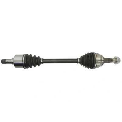 Abbildung von Antriebswelle PASCAL G2F038PC
