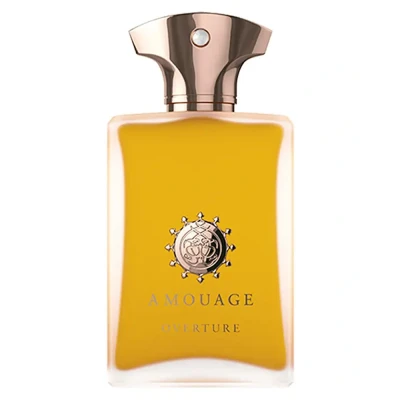 Abbildung von Amouage Overture Man Eau de Parfum (EdP) 100 ml