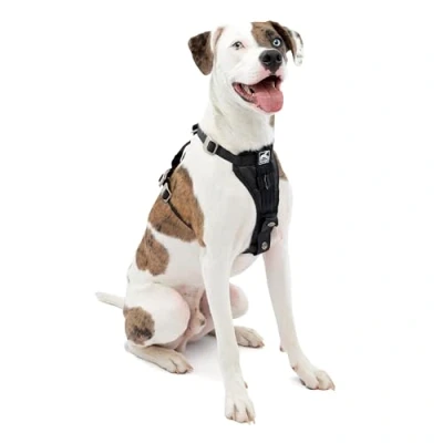 Abbildung von kurgo Autohundegeschirr Autogeschirr Tru Fit Smart Harness inkl. Gurtanschluss schwarz