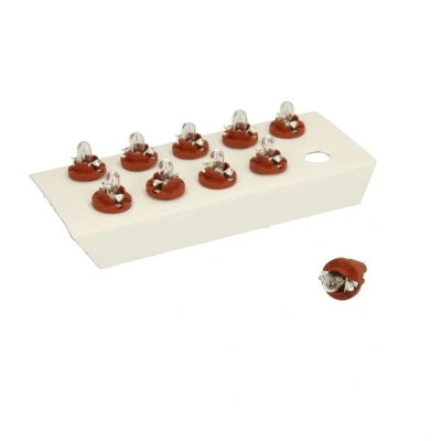 Abbildung von Glühlampe Sekundär OSRAM Standard 24V, 1,2W