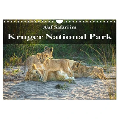 Abbildung von Auf Safari im Kruger National Park (Wandkalender 2025 DIN A4 quer), CALVENDO Monatskalender