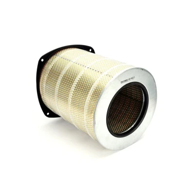 Abbildung von FILTRON AM 442/1 Luftfilter 417 332 Filtereinsatz