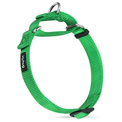 Abbildung von Hyhug langlebiges Nylon Erstickungshalsband, geeignet für den täglichen Gebrauch und das Training von kleinen, mittleren großen Hunden (Mittel, Limonengrün)
