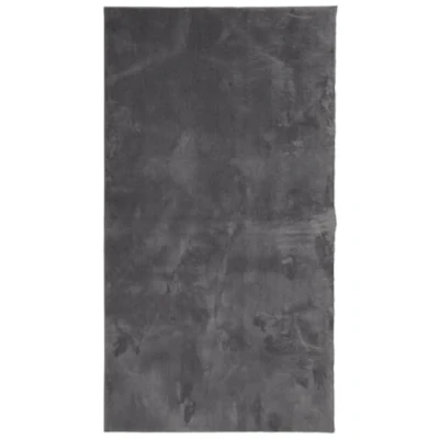 Abbildung von vidaXL Teppich Kurzflor Weich und Waschbar Anthrazit 80x150 cm, Höhe: 0 mm