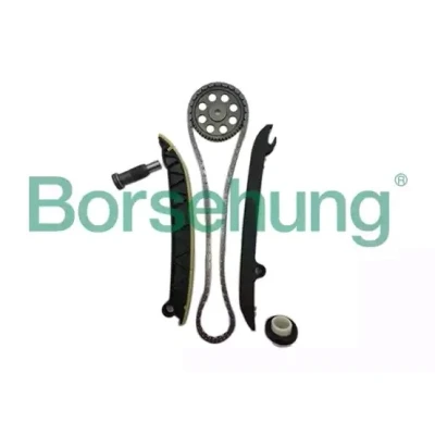 Abbildung von Borsehung B16297 Steuerkettensatz VOLKSWAGEN: Golf 6, Plus / Crossgolf, Polo V Schrägheck, SKODA: Octavia 2 Combi, Fabia Schrägheck