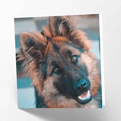 Abbildung von Maturi Blanko Glückwunschkarte Deutscher Schäferhund