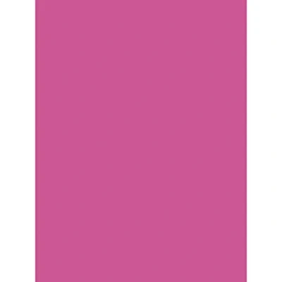 Abbildung von Clairefontaine 384587C Packung mit 10 Bögen Plakatpapier, 60x80cm, 90g, Fuchsia, 1 Pack