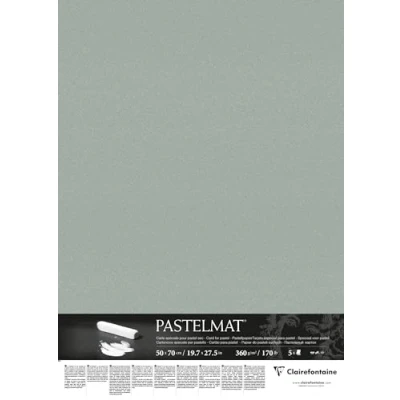 Abbildung von Clairefontaine 96157C Packung (mit 5 Zeichenbögen Pastelmat, 50 x 70 cm, 360 g, ideal für Trockentechniken und Pastell) hellgrün