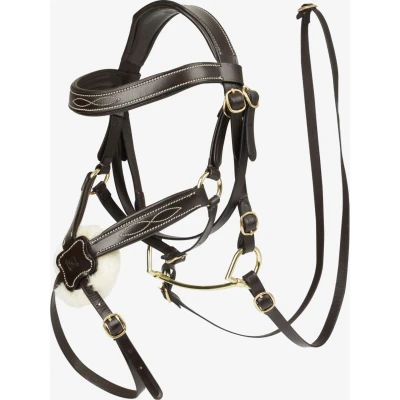 Abbildung von LeMieux Hobby Horse Spring Hoofdstel Braun