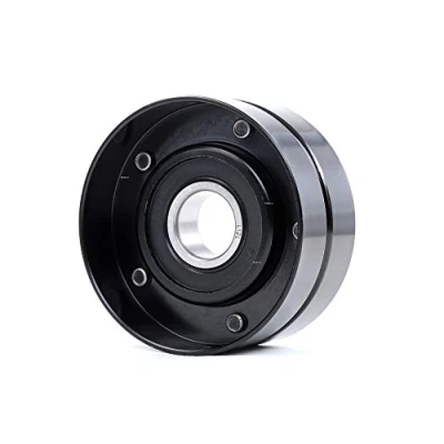 Abbildung von RIDEX 310T0203 Spannrolle ohne Halter MERCEDES BENZ: ML Klasse, E Klasse T modell, CLS Coupe, CHRYSLER: 300C Touring, Limousine