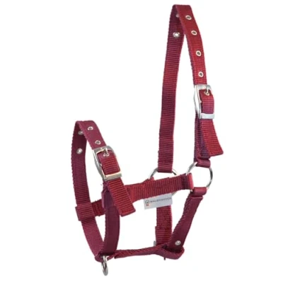 Abbildung von Waldhausen Fohlenhalfter Triple Full Veulen Bordeaux