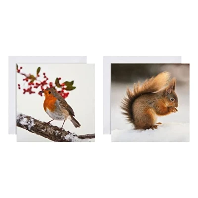 Abbildung von Hallmark Weihnachtskarten, 16 Stück in 2 National Geographic Designs, 25572278