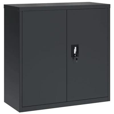 Abbildung von vidaXL Aktenschrank, Büroschrank mit Einlegeboden, Abschließbar Metallschrank Schrank Türen, Aufbewahrungsschrank Büromöbel, Anthrazit Stahl