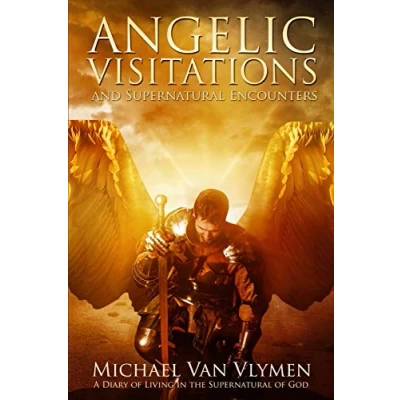 Abbildung von Angelic Visitations and Supernatural Encounters: A Diary of Living in the God