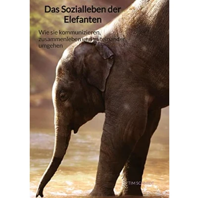 Abbildung von Das Sozialleben der Elefanten: Wie sie kommunizieren, zusammenleben und miteinander umgehen